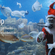 10 Besten Weihnachtsgeschenke für den Aquariumbesitzer
